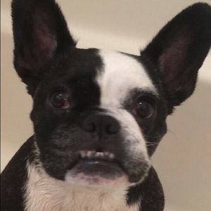 Meet your Posher, Manda